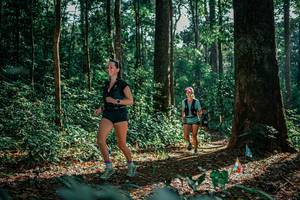 BIB: 
                            <button type="button" onclick="openModal(26131414)" class="btn btn-primary btn-sm float-right btn-popup" data-toggle="modal" data-target=".modal-high-quality">
                        <i class="fas fa-shopping-cart"></i> Add to Cart
                    </button>
                                            <button type="button" onclick="isThisMe(26131414, true)" class="btn btn-success btn-sm float-right btn-popup btn-isme hidden" data-toggle="tooltip" data-placement="bottom" title="นี่คือรูปของคุณใช่ไหม คลิกที่นี่เพื่อเอาเข้าอัลบั้ม">
                        <i class="fas fa-plus"></i> Add to album
                    </button>
                    <button type="button" onclick="isThisMe(26131414, false)" class="btn btn-warning btn-sm float-right btn-popup btn-isnotme hidden">
                        <i class="fas fa-ban"></i> Remove from album
                    </button>